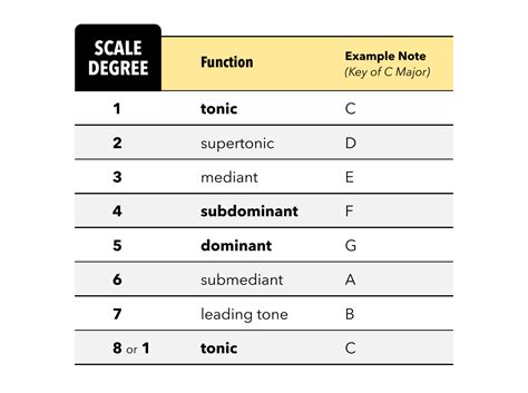 What Is a Scale Degree in Music and Its Deep Connectors to Melodic Evolution